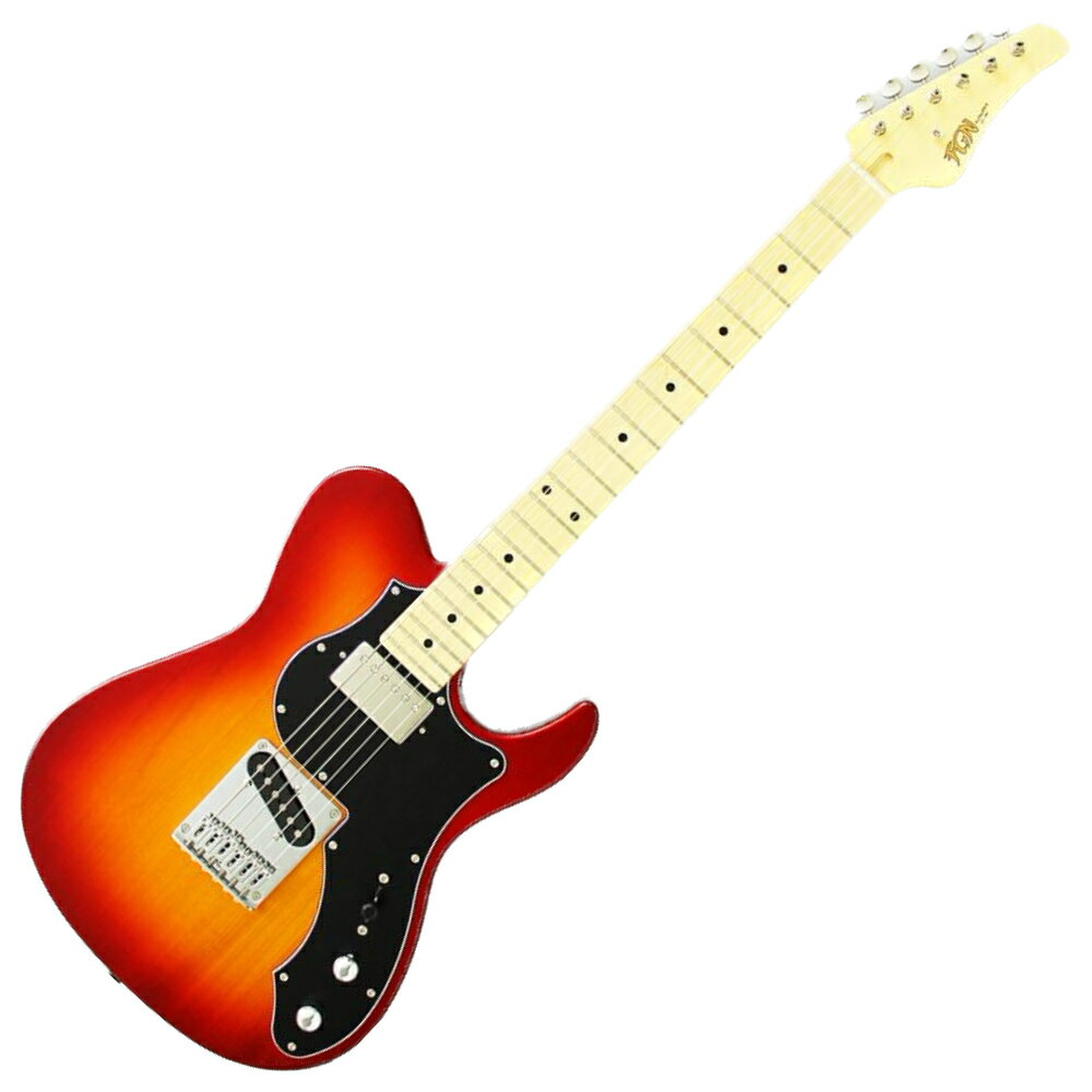 tWQ GLM^[ FUJIGEN FGN BIL2-M-HS/CS 02 Boundary ILIAD Cherry Sunburst `F[To[Xg oE_[