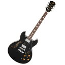 AriaProII アリアプロII TA-200 BK セミアコースティックギター(2)