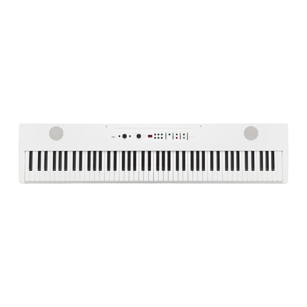 KORG Liano Live L1 LIVE 電子ピアノ コルグ ライブストリーミングピアノ