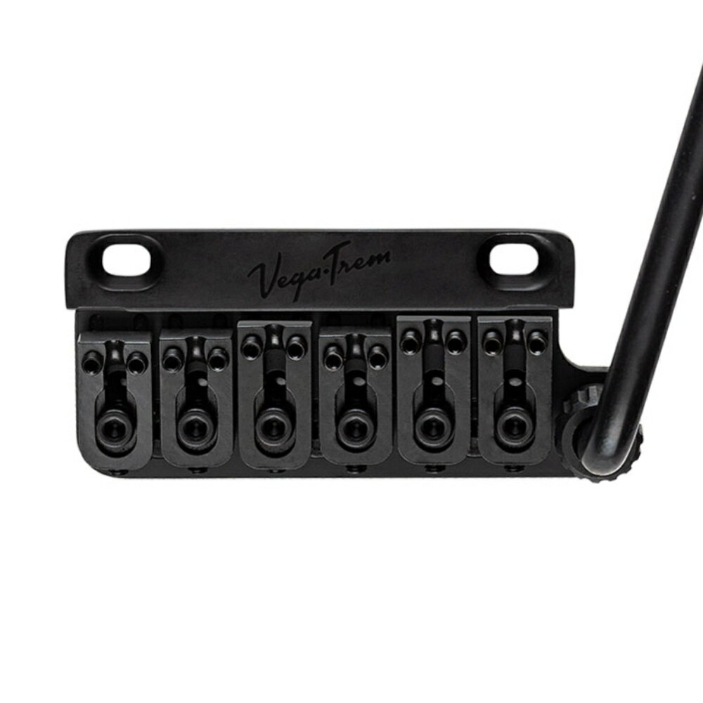 Vega-Trem VT1 Special 2-points Black ストラ�