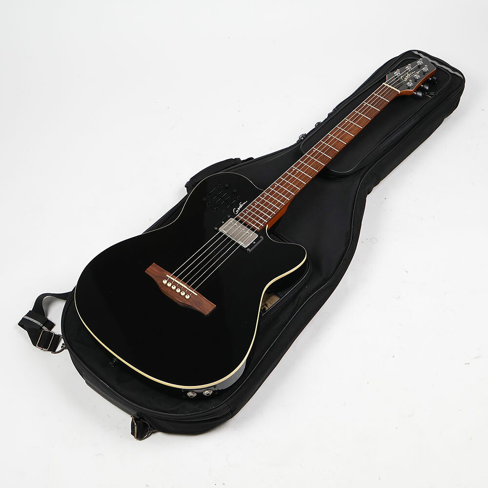 楽天市場】Godin（ギター｜ギター・ベース）：楽器・音響機器の通販