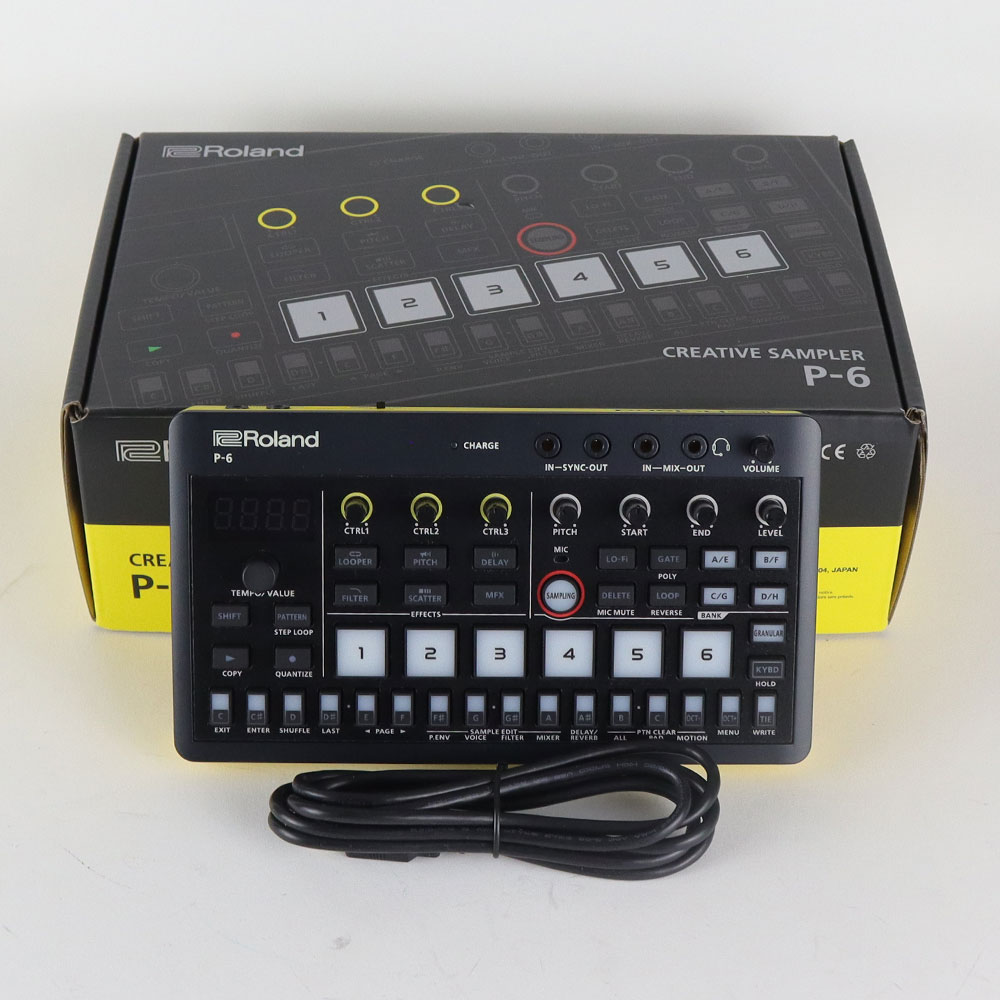 Roland P-6