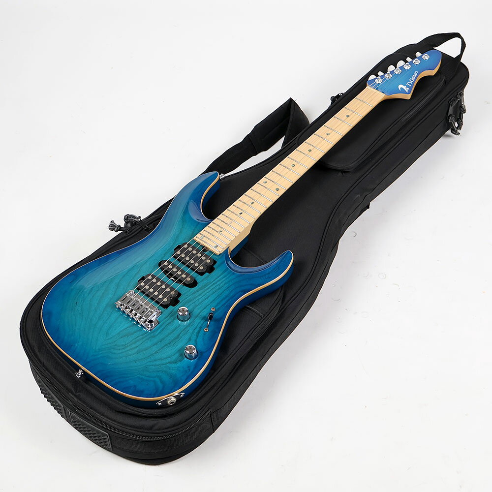 楽天市場】T's Guitars DSTの通販