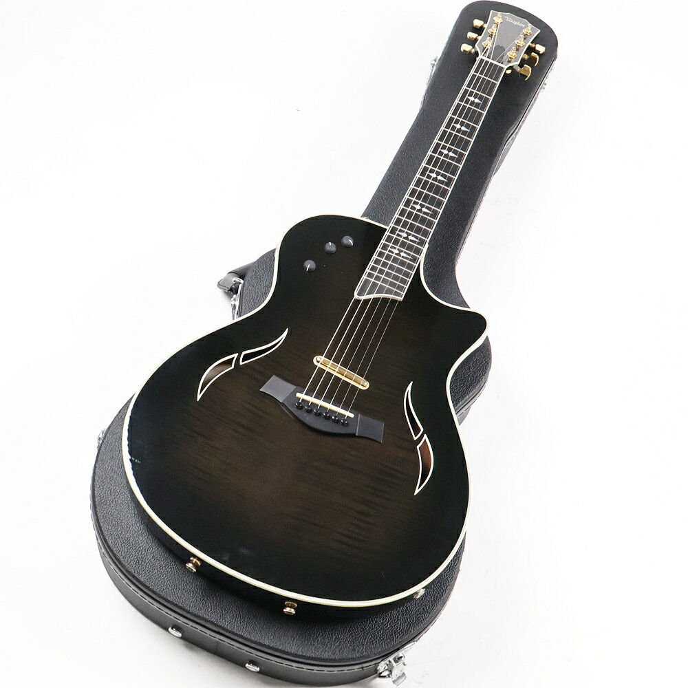 楽天市場】taylor t5（楽器・音響機器）の通販