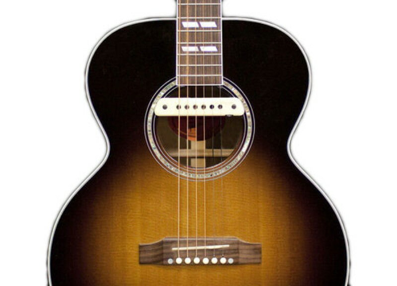 L.R.BAGGS M-1 Passive アコギ用パッシブピックアップ 正規輸入品