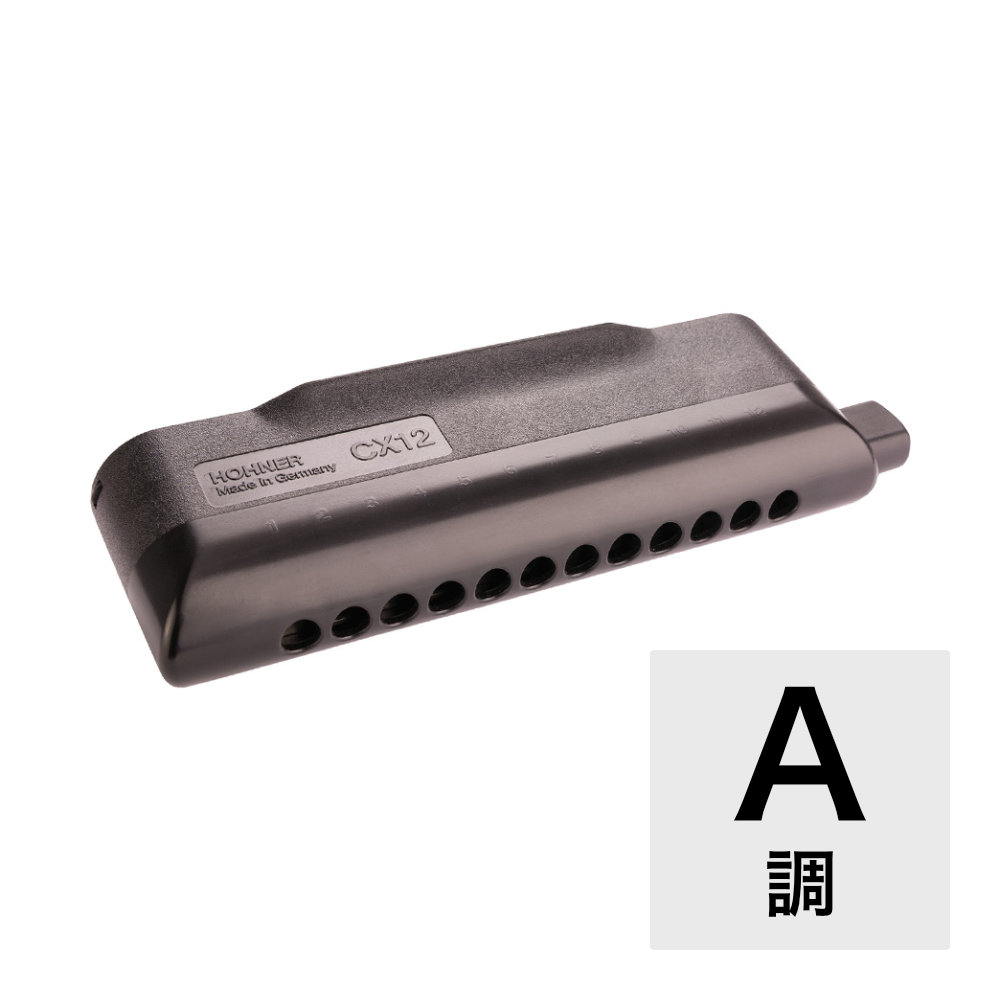 z[i[ n[jJ A HOHNER CX12-Black/A N}`bNn[jJ