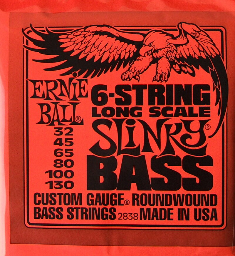 ˡܡ ERNIE BALL 2838 6-STRING SLINKY 6١