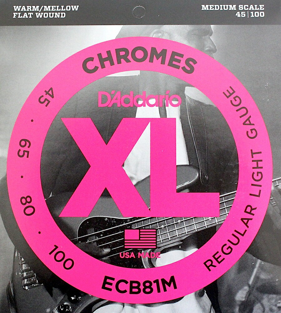 ꥪ D'Addario ECB81M/եåȥ復 쥭١