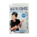 Worth Strings IU-LG IWAO Unplugged Low-G EN