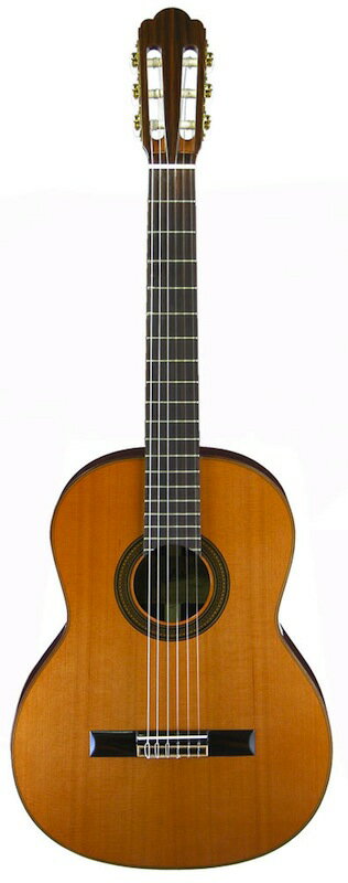 ARIA A-50C-63 クラシックギター ハードケース付き