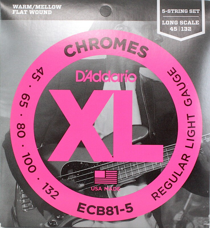 ダダリオ D 039 Addario ECB81-5 フラットワウンド 5弦エレキベース弦