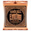 ˡܡ ERNIE BALL 2546 Everlast Coated PHOSPHOR BRONZE MEDIUM LIGHT ƥå