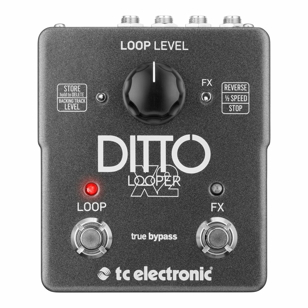 tc electronic Ditto X2 Looper 롼ѡ