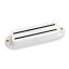 ⥢󥫥 Seymour Duncan SHR-1b Hot Rails for Strat Bridge White ԥåå