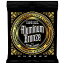 ˡܡ ERNIE BALL 2570 Aluminum Bronze Extra Light ƥå