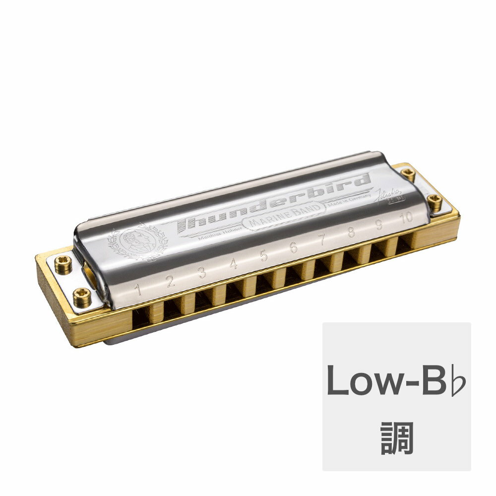 ホーナー ハーモニカ Low-B♭調 HOHNER Marine Band Thunderbird X Low-B♭ 10ホールハーモニカ ブルースハープ ブルースハーモニカ