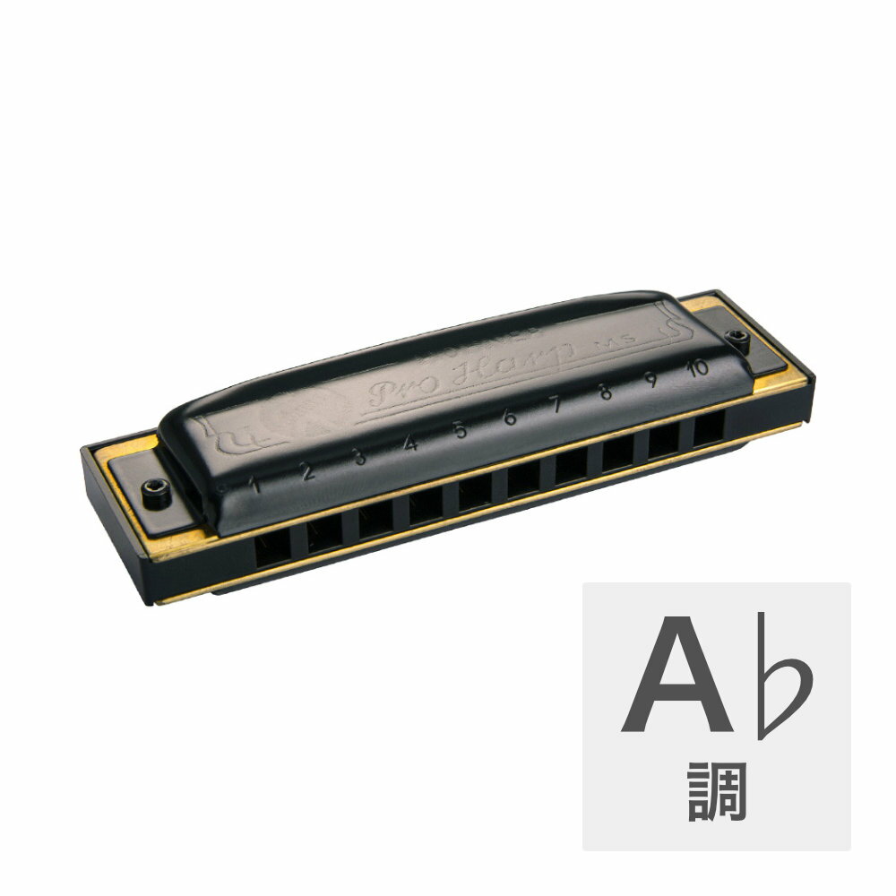ۡʡ ϡ˥ AĴ HOHNER Pro Harp MS X 562/20MSX A 10ۡϡ˥ ֥롼ϡ ֥...