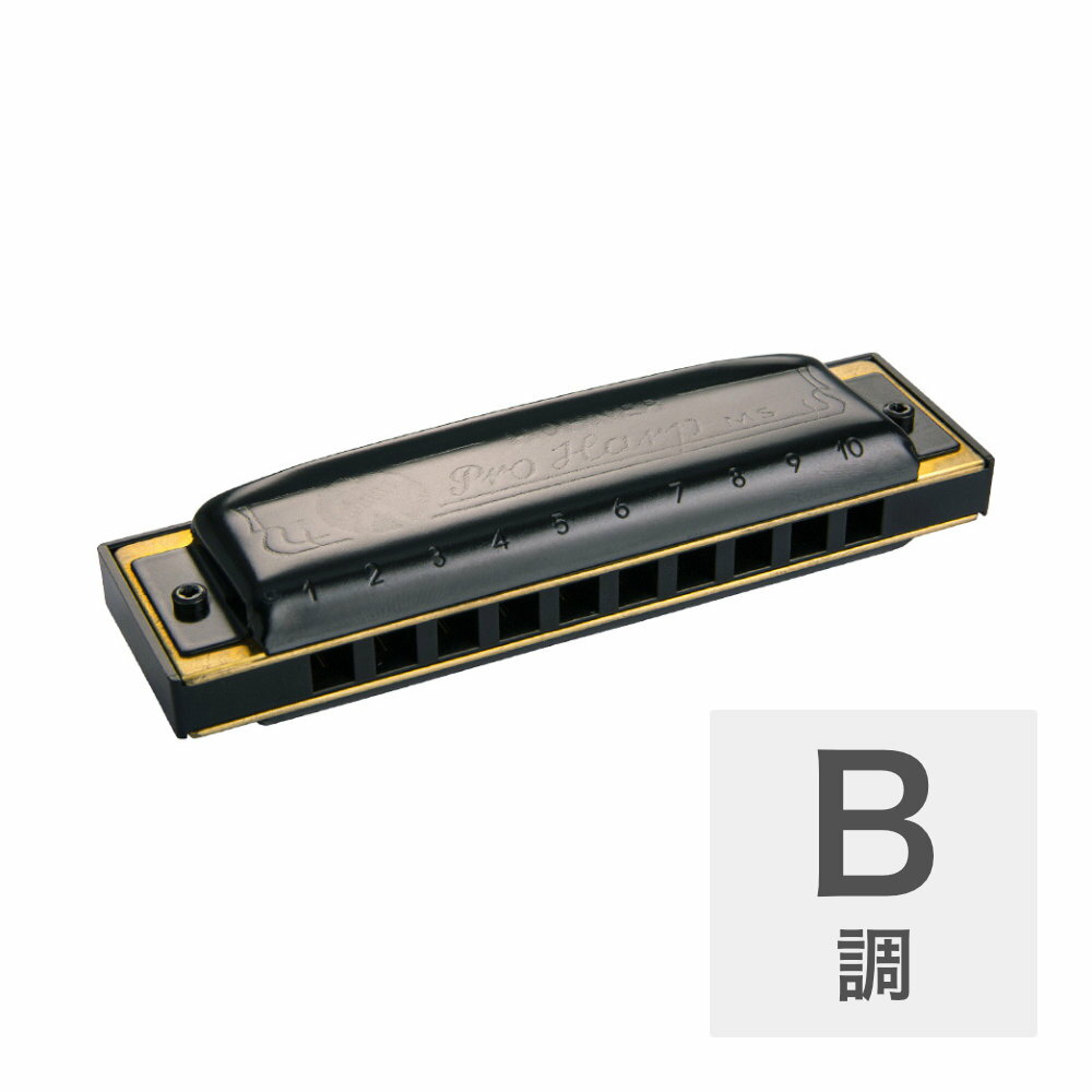 ホーナー ハーモニカ B調 HOHNER Pro Harp MS X 562/20MSX B 10ホールハーモニカ ブルースハープ ブルースハーモニカ