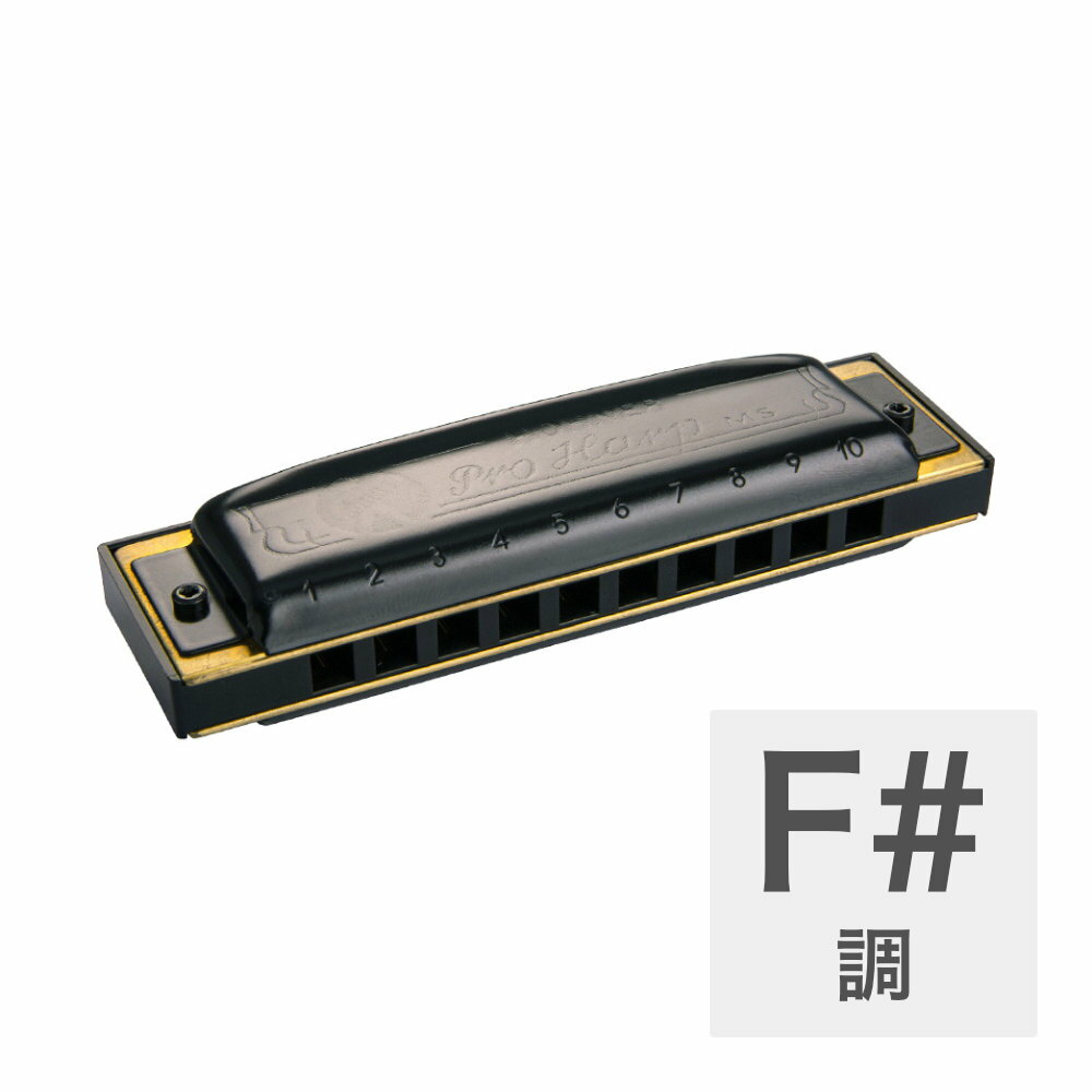 ホーナー ハーモニカ F#調 HOHNER Pro Harp MS X 562/20MSX F# 10ホールハーモニカ ブルースハープ ブルースハーモニカ