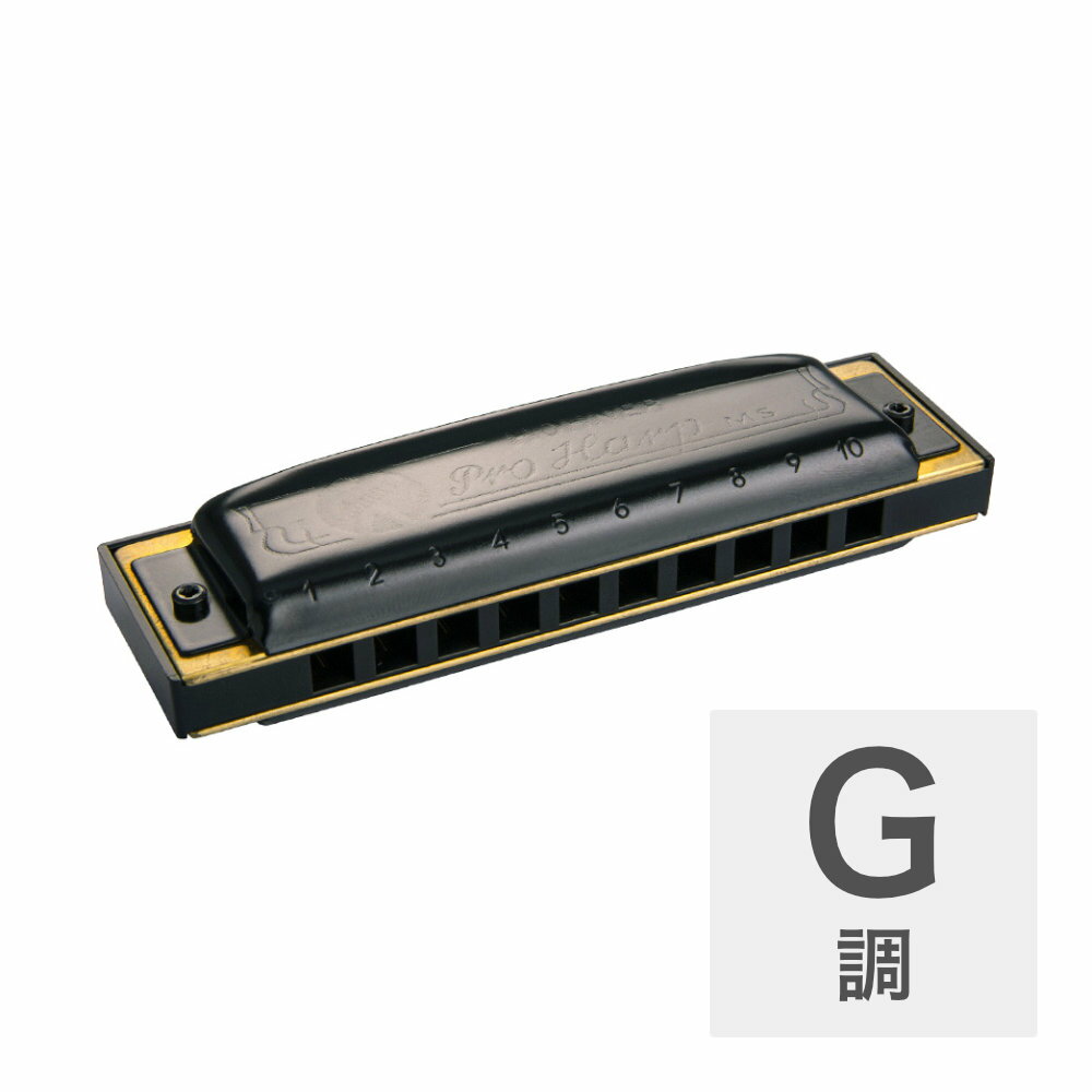 ホーナー ハーモニカ G調 HOHNER Pro Harp MS X 562/20MSX G 10ホールハーモニカ ブルースハープ ブルースハーモニカ