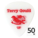 PICKBOY GP-TG-TS/06 Terry Gould Sand Grip 0.60mm ギターピック×50枚