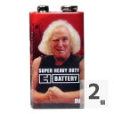 ELECTRO-HARMONIX EHX 9V Battery 9V形 マンガン電池×2個(2)