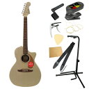 Fender Newporter...