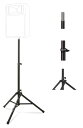 ULTIMATE TS-80B スピーカースタンド×2本セット
