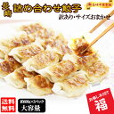 餃子 詰め合わせ餃子 福袋 ぎょうざ 冷凍 長崎グルメ「工場直売 訳あり 餃子」 (約600g×3パック) ギョーザ ギョウザ 箱詰め 中華 点心 お取り寄せ【...