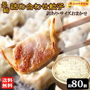 訳あり餃子 80個以上 (約600g×2袋) 餃子 冷凍 ぎょうざ ギョーザ 冷凍餃子 冷凍食品 ひとくち餃子 ひとくち餃子 詰め合わせ お取り寄せ 中華 点心 ワケアリ ワケあり 福袋 【長崎中華本舗】