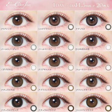 【20枚入×4箱】エバーカラーワンデーナチュラル 14.5mm(度あり カラコン 度入り カラーコンタクト 度なし フチなし サークルレンズ 1day 1日使い捨て 安斉かれん フチあり エバーカラー エバカラ)