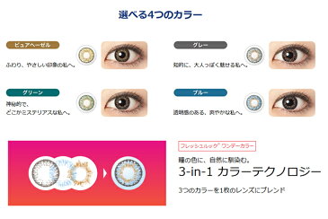 【10枚入×3箱】フレッシュルックワンデーカラー 13.8mm（サークルレンズ 度あり カラコン 度入り カラーコンタクト 度なし 1日使い捨て FleshLook One-Day Color グリーン 緑 グレー ブルー 青 ピュアヘーゼル ブラウン ハーフ フチあり コスプレ）