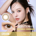 クルーム【サンフラワー】ワンデー 1箱10枚入 14.5mm(カラコン 度あり カラーコンタクト 度入り サークルレンズ 度なし 1日使い捨て CRUUM 1day Sunflower ベージュ ブラウン ナチュラル)