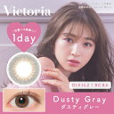 ヴィクトリアワンデー ダスティグレー 1箱10枚入 14.2mm(Victria 1day カラコン 度あり カラーコンタクト 度入り 度なし サークルレンズ 1日使い捨て グレー ヴィクトリア ビクトリア ワンデー)(4)