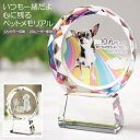 ペット 位牌 クリスタル ペット遺影クリスタル ラウンド ペット仏具 ペット仏壇 きれい かわいい 両面印刷 誕生石 レーザー 彫刻 名入れ フォト 写真立 形見 ペット供養 ガラス お位牌 ペットメモリアル ペットロス 犬 猫 小動物 手元供養 49日 虹の橋 思い出【代引き不可】