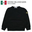 【数量限定・在庫限り・早い者勝ち!】 ストーンアイランド / Stone Island Kids Sweatshirt / 6100011S0040 / 610...