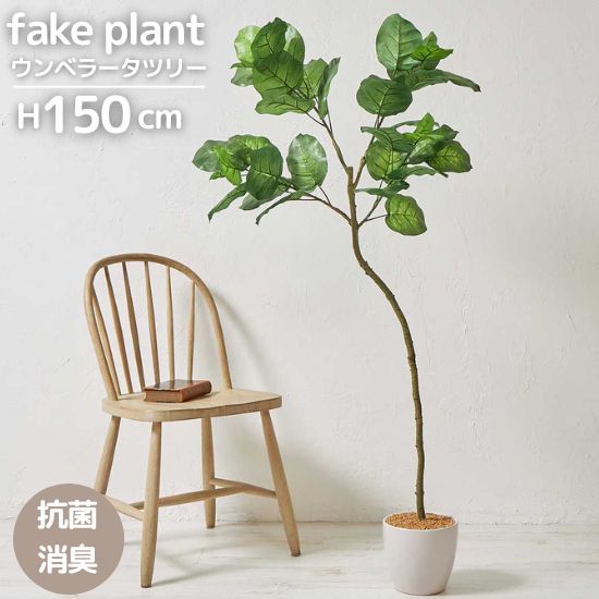 フェイクグリーン ウンベラータ ツリー 高さ150cm 観葉植物 フェイクプランツ 150センチ コンパクト 屋内 リアル お手入れ不要 鉢植え 光触媒加工 消臭効果 抗菌効果 防臭 ボタニカル ガーデニング 室内 グリーン お洒落 おしゃれ 北欧 リゾート 南国 ハート型