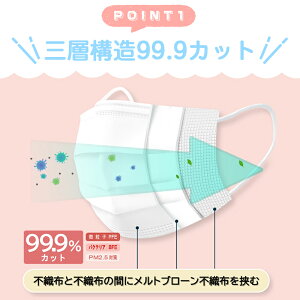 【血色不織布マスク】マスク 子供 不織布マスク 50枚 ×20箱 カラーマスク快適 子供用 小さめ プリーツ 血色マスク 不織布 血色カラー マスク cicibella シシベラ マスク くちばし マスク バイカラーマスク不織布マスク 花粉対策 99% 母の日 春 冷感マスク