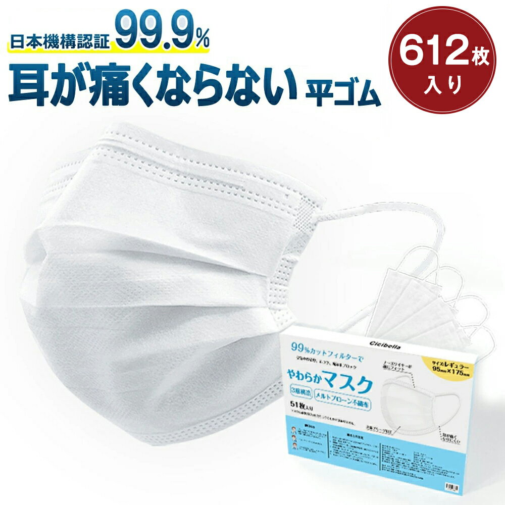 【高評価☆不織布マスク】マスク 不織布 大容量51枚×12箱 不織布 ホワイト 大人用 マスク 快適三層構造 プリーツマスク 不織布マスク 耳が痛くない カラーマスク プリーツ 高密度フィルター くちばし 女性用 小顔マスク 送料無料 cicibella 春 シシベラ マスク