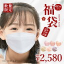 【新春福袋2024】「数量限定」 CICIBELLA 大人気子供用マスク 子供快適 子供用 小さめ 福袋15袋セット 不織布 くちば…