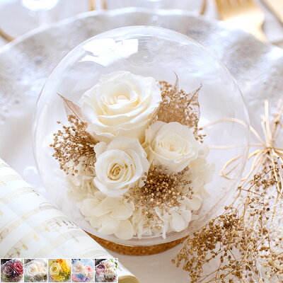 プリザーブドフラワー【ソフィア】ガラスドーム プレゼント 誕生日 花 結婚記念日 結婚祝い 祝電 電報 結婚式 お見舞い 両親 妻 花 退職祝い 還暦祝い 母の日 女性 送料無料 かわいい おしゃれ インスタ映え ガラスケース 高級 プリザーブドフラワー
