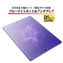 iPad Air 11インチ 2024年 ブルーライトカット アンチグレア ガラスフィルム フィルム 強化ガラス 保護フィルム 非光沢 マット iPad Air 11 インチ 2024(2)