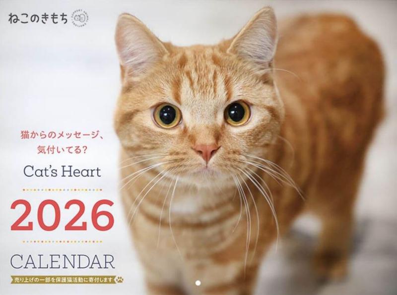 ねこのきもち大判カレンダー2026