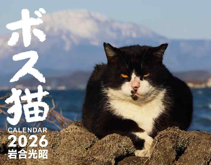 ボス猫カレンダー2026 ([カレンダー])