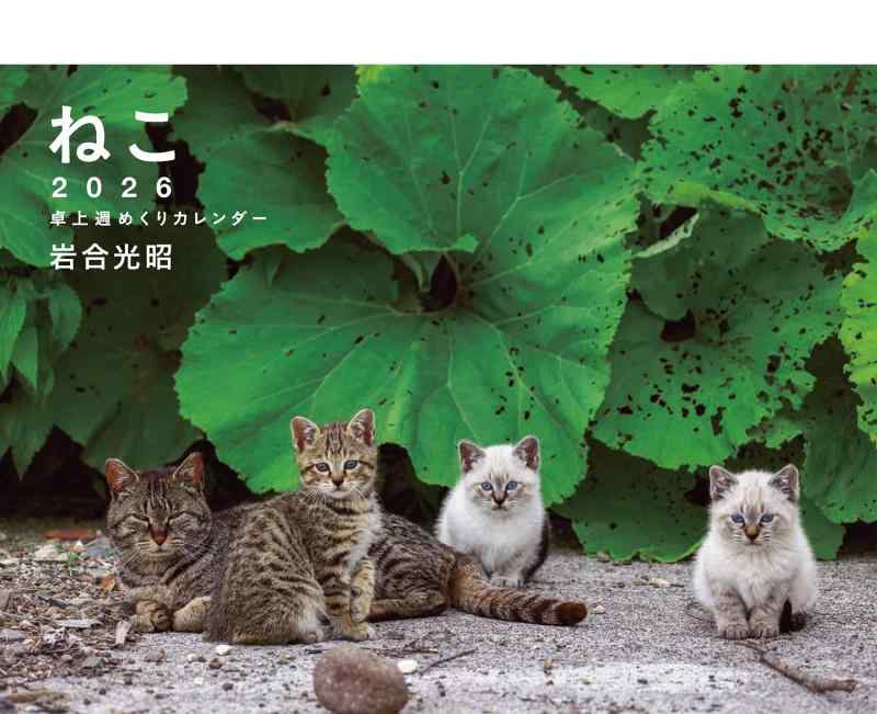 2026 岩合光昭 ねこ 卓上週めくりカレンダー ([カレンダー])