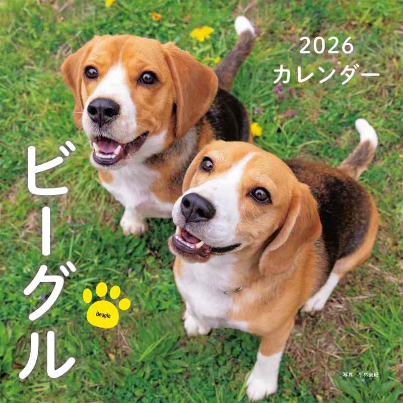 Rakuten - 2026年カレンダー ビーグル (誠文堂新光社カレンダー)