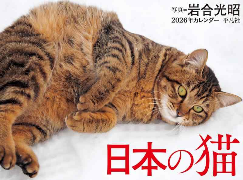 Rakuten - 2026年カレンダー 日本の猫 ([カレンダー])