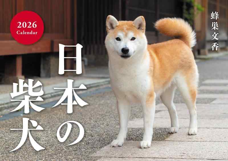 日本の柴犬カレンダー 2026（壁掛け） ([カレンダー])のサムネイル
