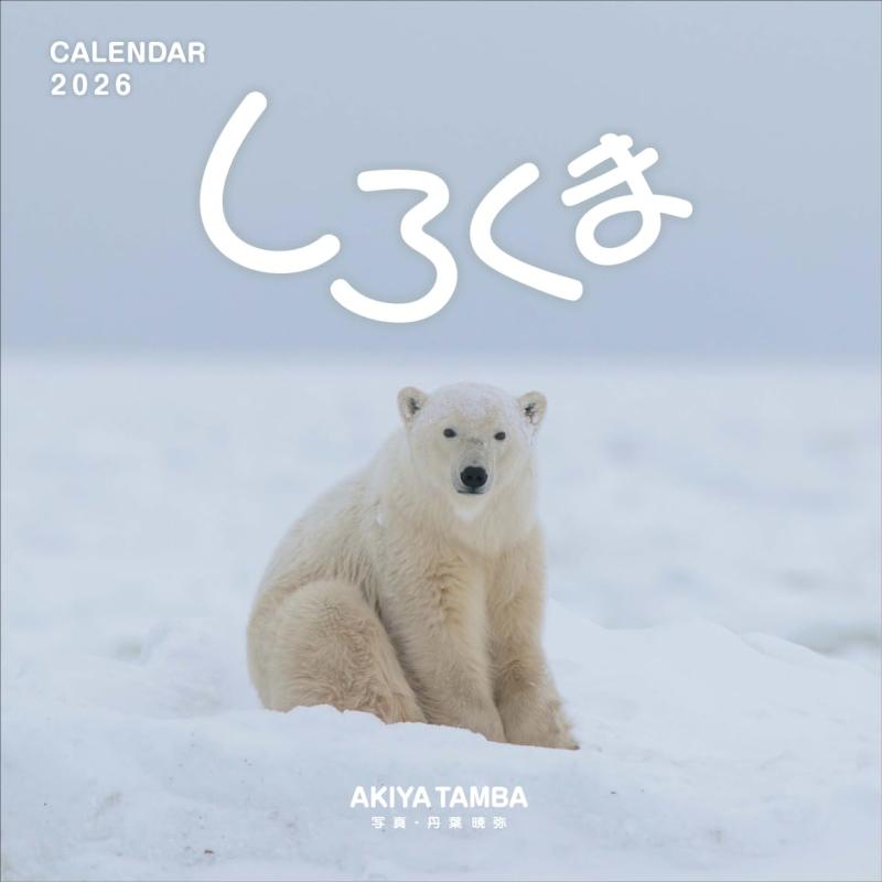 「しろくま」 丹葉暁弥 2026年壁掛けカレンダー