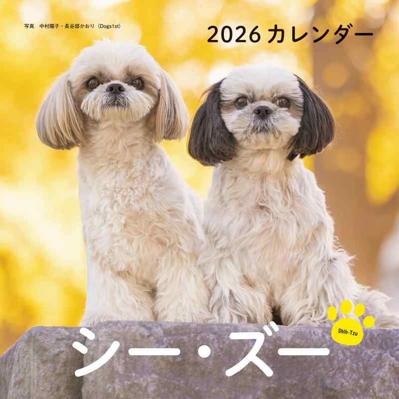 楽天市場】誠文堂 シーズー カレンダーの通販